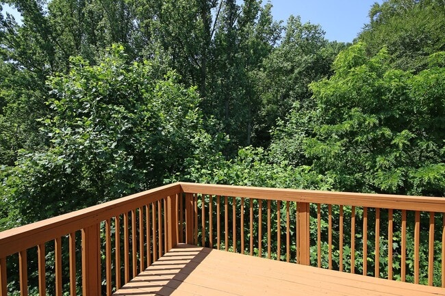 Building Photo - Dog-Friendly Brookwood Home Near UVA Medical Center & Downtown