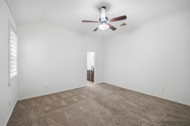 Building Photo - 3831 Daintree Park Dr