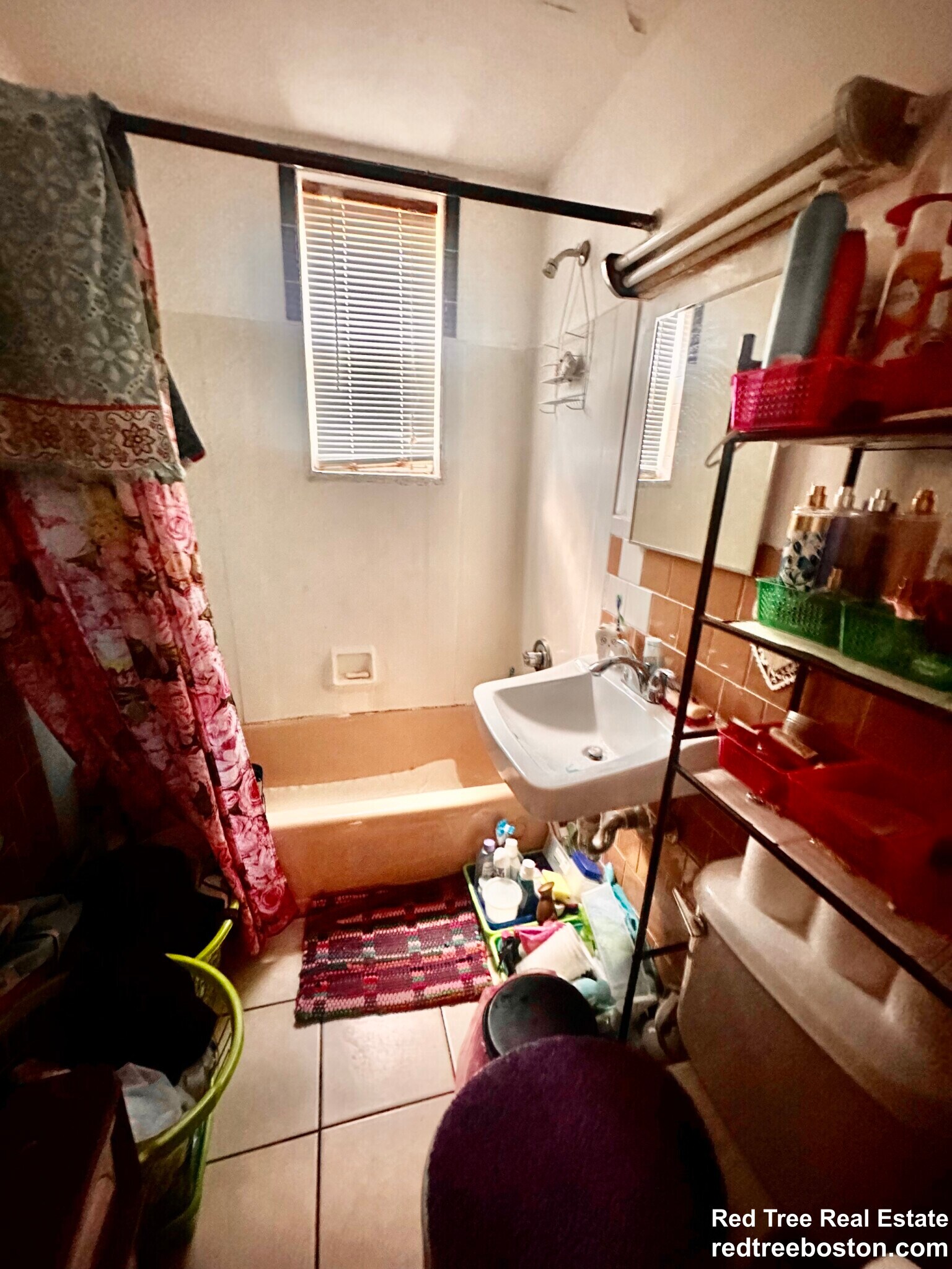 Building Photo - 56 Park Vale Ave