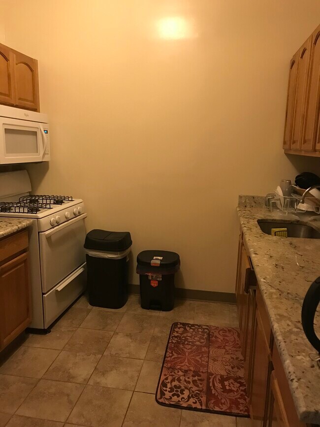 Kitchen - 345 E 119th St