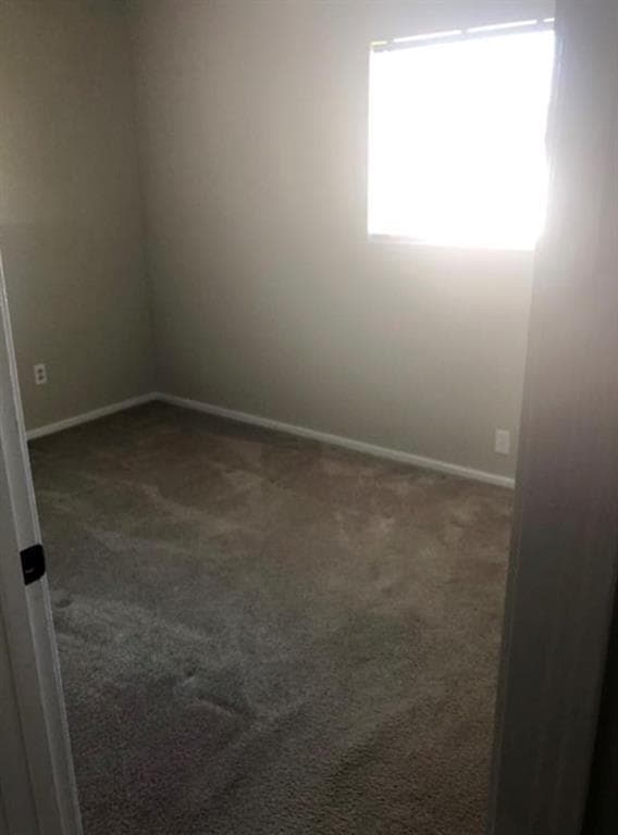 Building Photo - 718 Hogan Dr