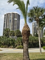 Building Photo - 1 Oceans West Blvd