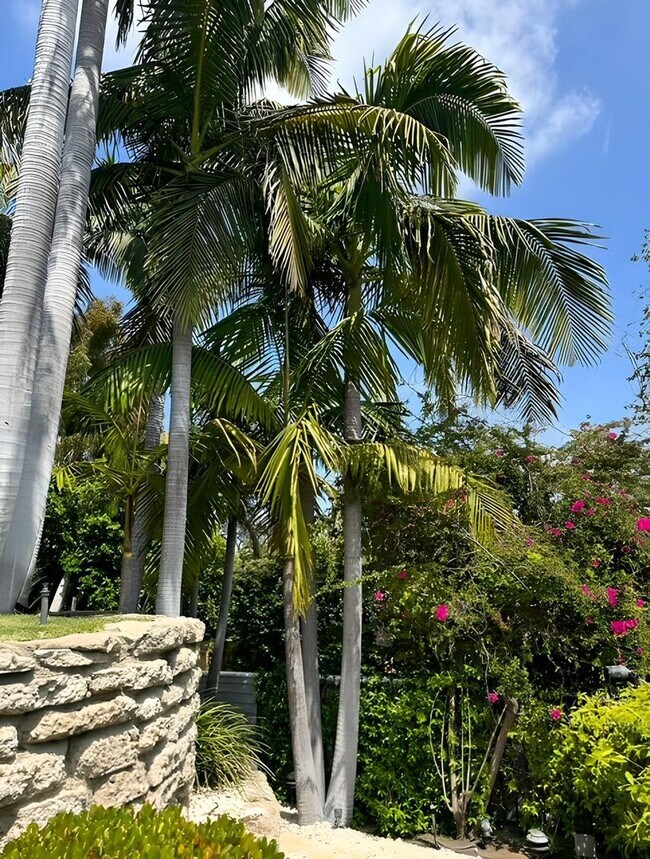 Building Photo - Unbelievable Furnished Studio Lease in WeH...
