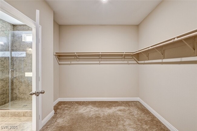 Building Photo - 4630 Summer Azure St