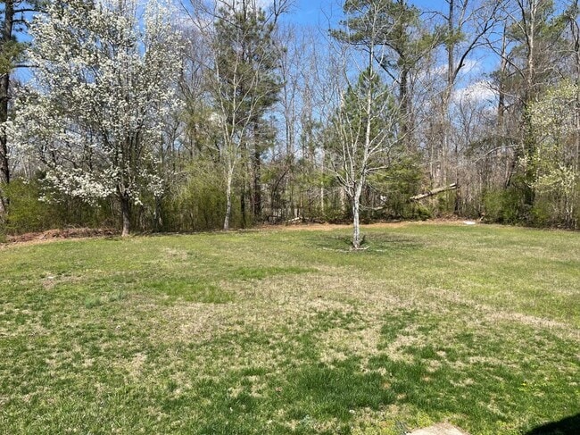Building Photo - 5025 Bess Moore Rd