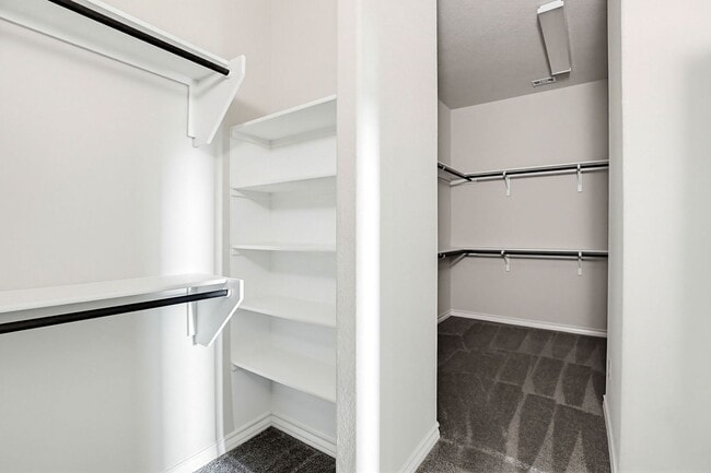 Building Photo - Luxury Semi-Custom Built Home in Stevens Ranch