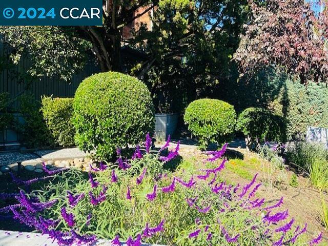 Building Photo - 612 Tahos Rd