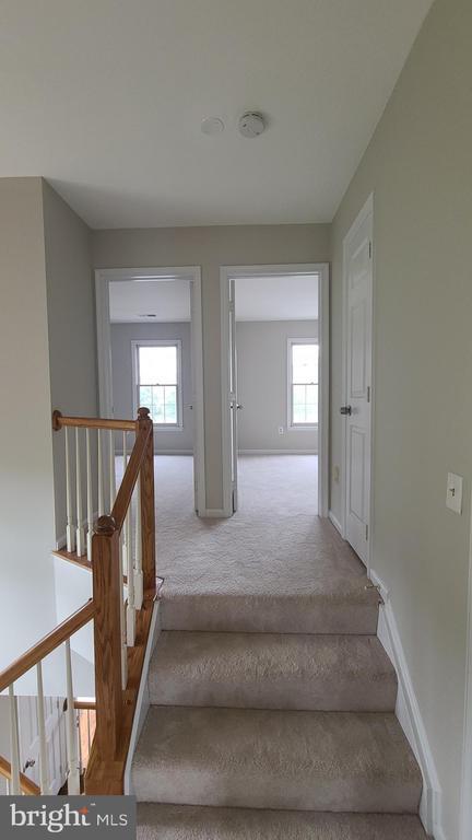 Building Photo - 20346 Brentmeade Terrace