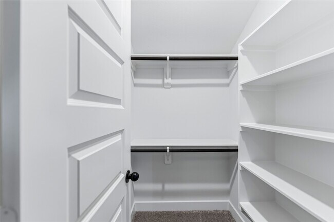 Building Photo - 3125 Stingray Cv Dr