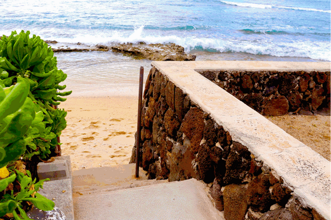 Building Photo - Steps from the Sand – Oceanfront Rental Av...