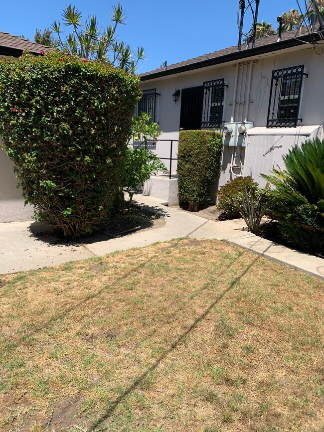 Backyard - 8260 Willoughby Ave