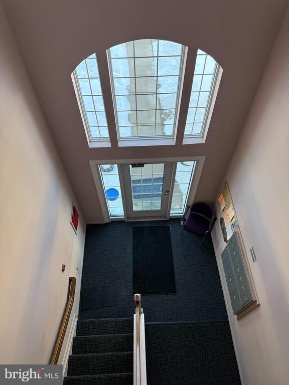 Building Photo - 309 Tall Pines Ct