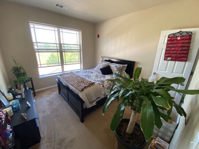 Building Photo - Live Close to Olde Town Arvada!