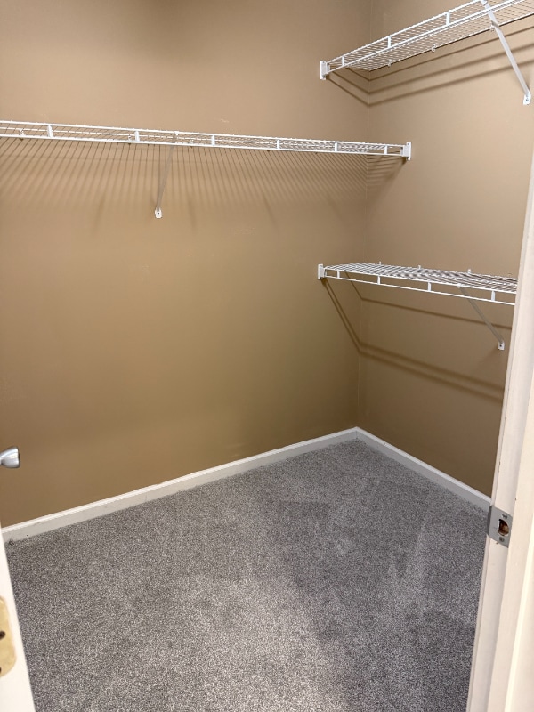 Building Photo - 13918 Laurel Trace Dr