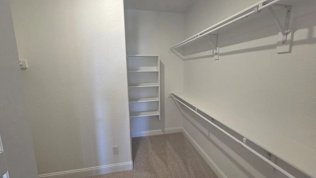 Building Photo - 3029 Hollybrook Ln