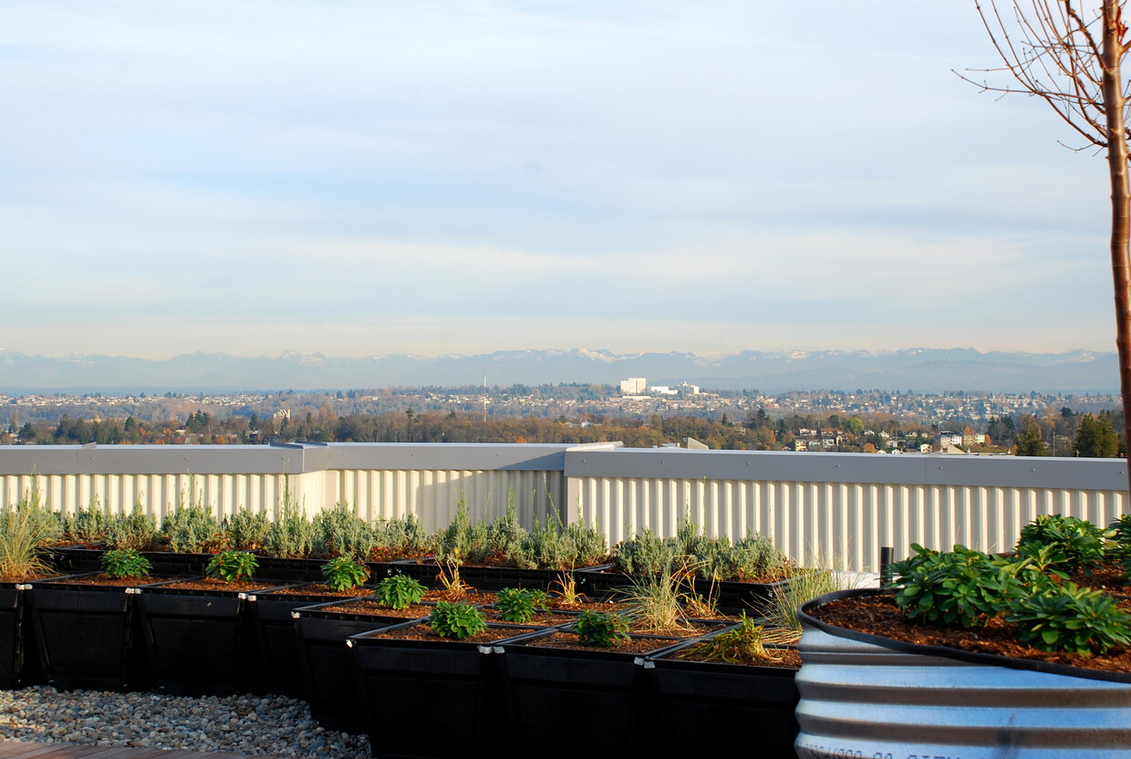 Altamira Apartments Seattle Wa Apartment Finder