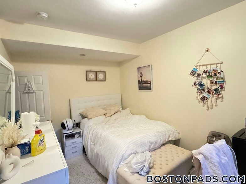 Building Photo - 62 Egmont St