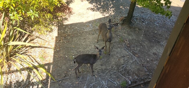 Building Photo - 100 Wimbledon Way