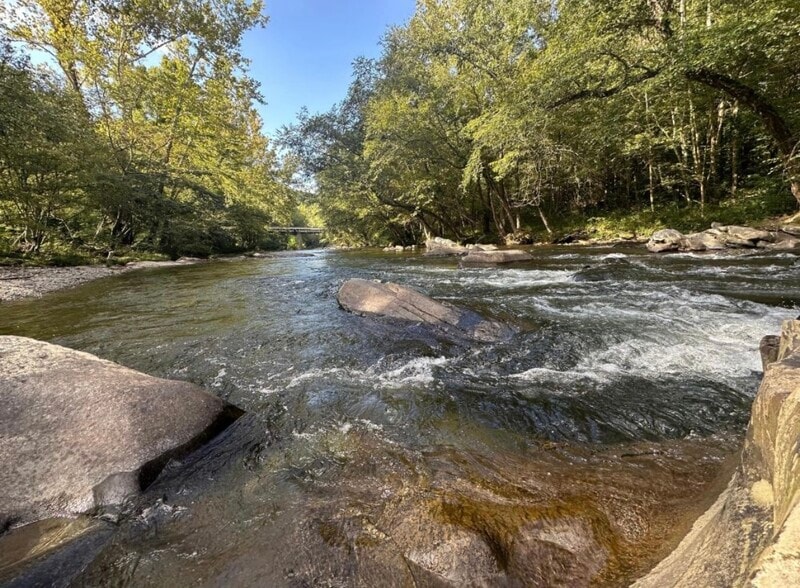 Building Photo - 3626 Pittman Center Rd