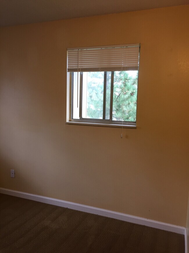 Building Photo - One Bedroom in Wimbledon!