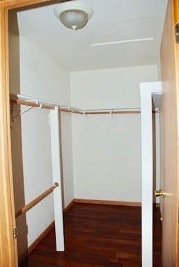 Building Photo - 3 Bedroom Home, garage, fenced yard.