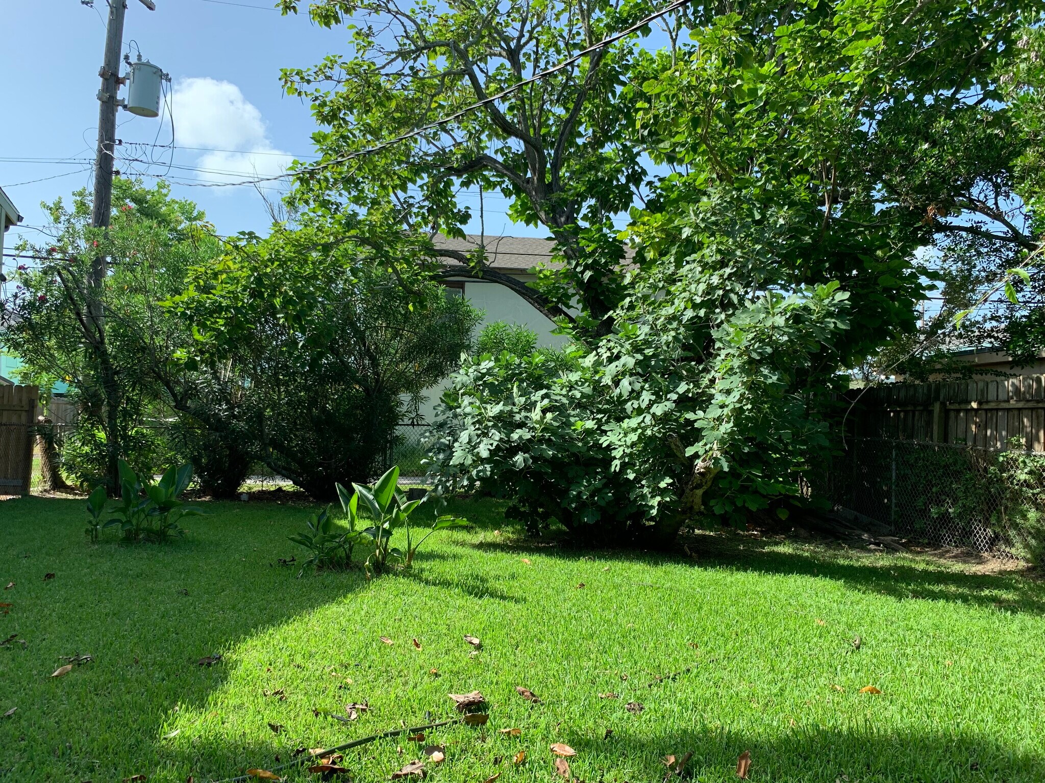 Building Photo - 4408 Avenue S 1/2