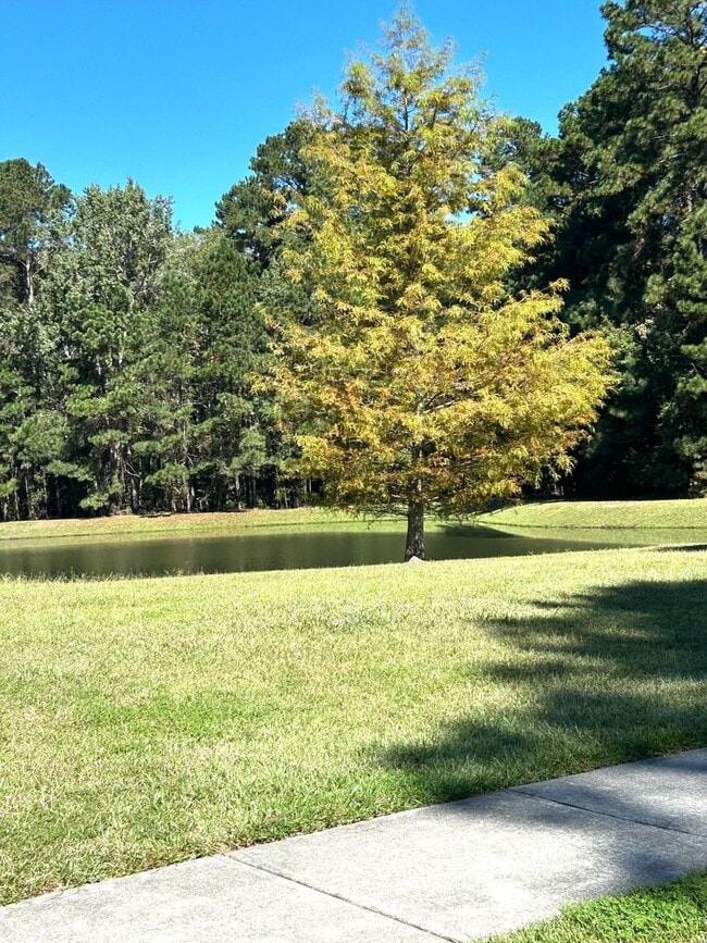 Building Photo - Beautifully Updated 4-Bedroom Home in Pooler, GA