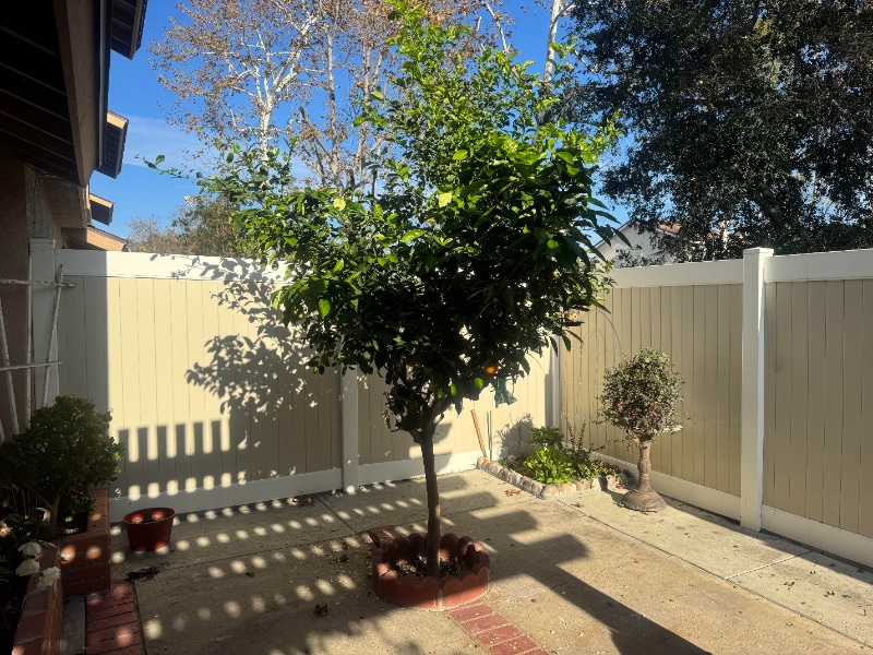 Building Photo - 21496 Firwood