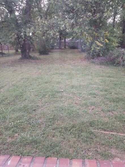 back yard - 4848 Brenda Dr