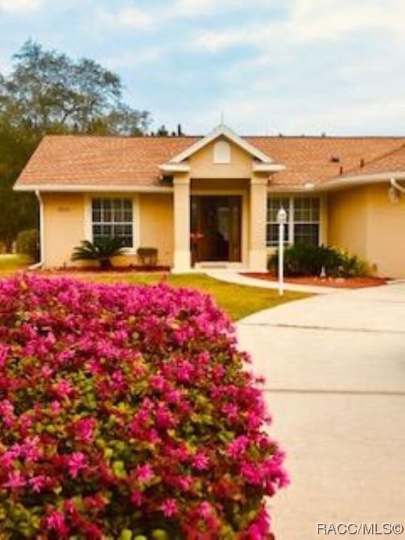 Primary Photo - 2630 N Brentwood Cir