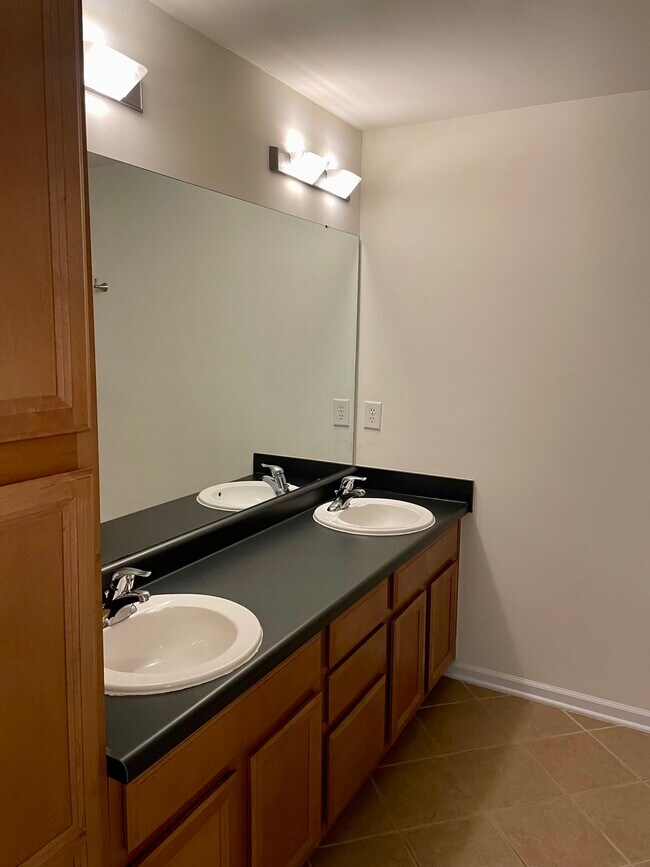 Double Vanity in Master 1 Bath - 3817 Picasso Ct