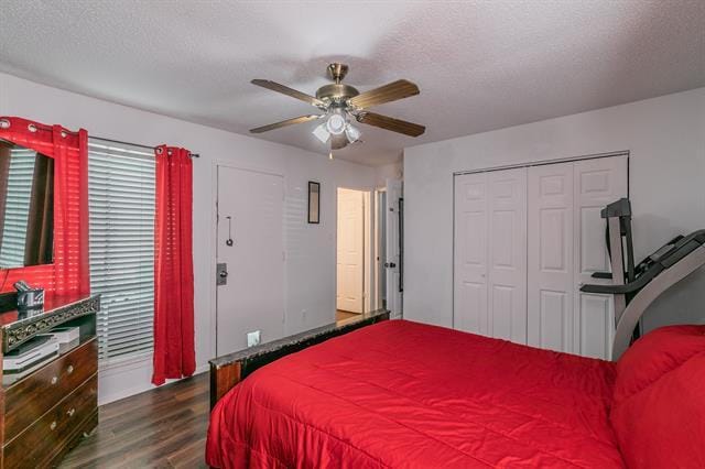 Building Photo - 4535 Alamosa St