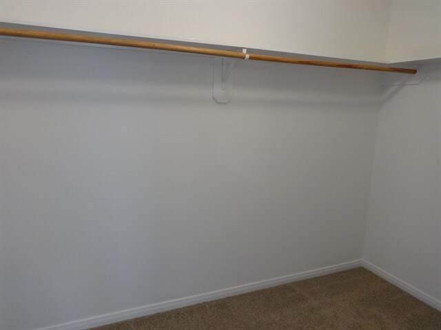 Building Photo - 9116 Dolphin Cir