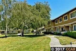 Building Photo - 133 Lawnview Cir
