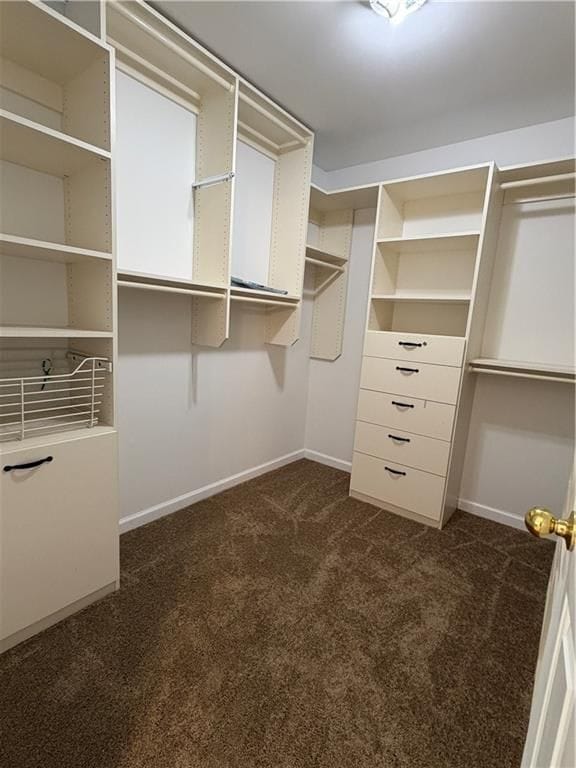 Building Photo - 505 Summer Breeze Ct.