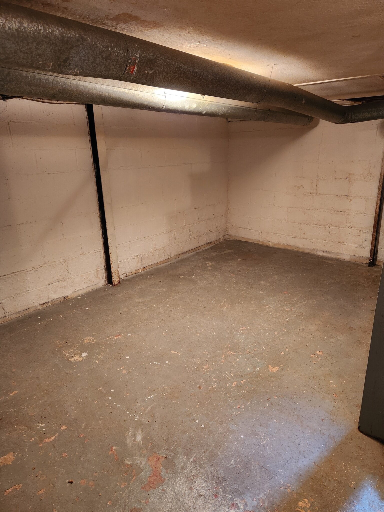Basement - 513 Battle Ave