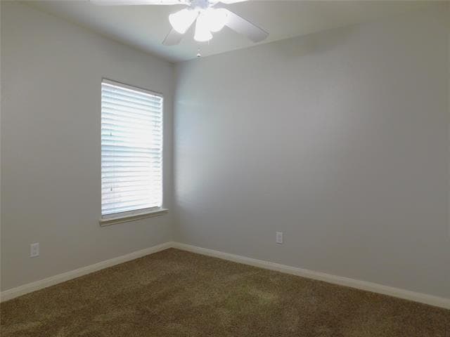 Building Photo - 125 Eider Dr