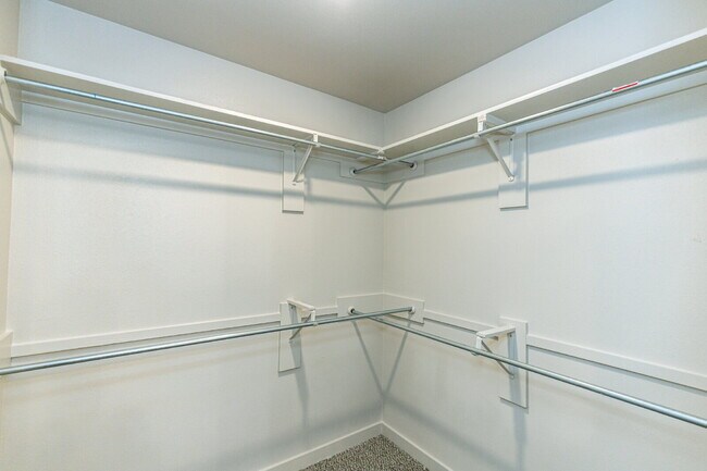 Building Photo - Like-New Modern Townhomes in Cooper ISD!