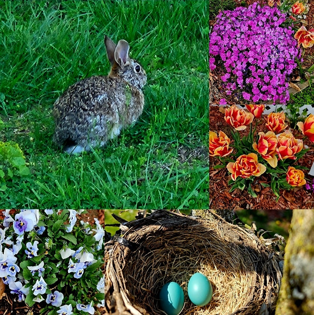 Building Photo - 11 Elm St