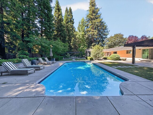 Building Photo - Gorgeous 4 Bedroom PLUS Spacious Bonus Room with Pool in Desired Alamo Neighborhood Available Now!