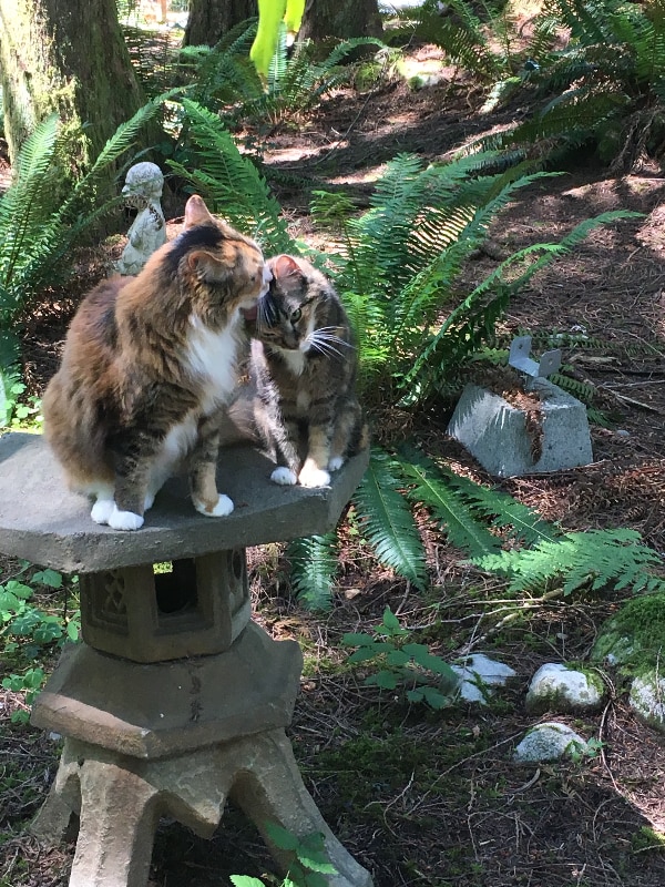 Building Photo - 51603 Skyco Dr