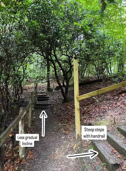 Building Photo - 62 Bailey Ave