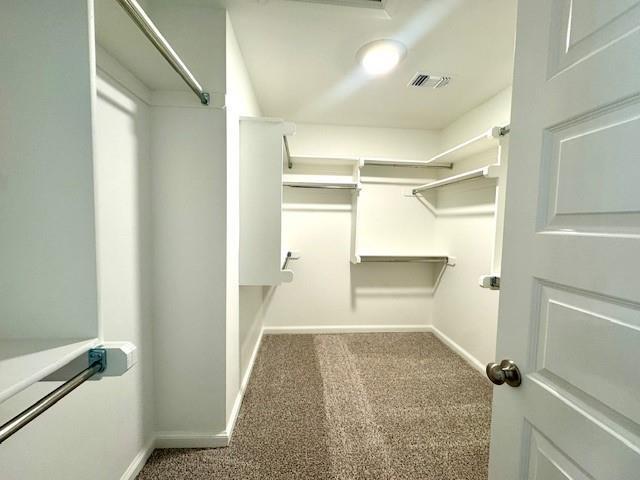 Building Photo - 3137 Mt Nebo Dr
