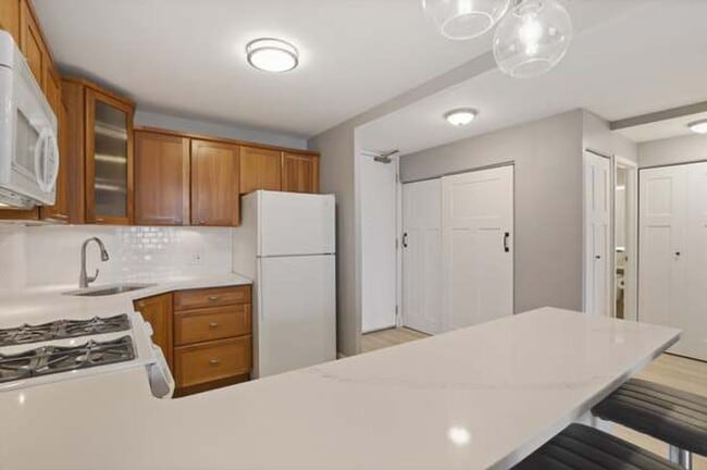 Building Photo - Highly desirable 1b apartment in Lakeshore East