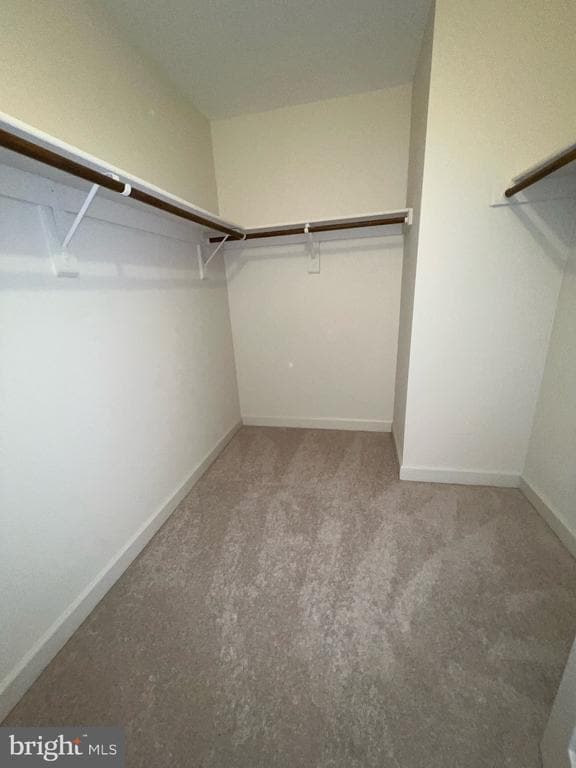 Building Photo - 2104 Patty Ln