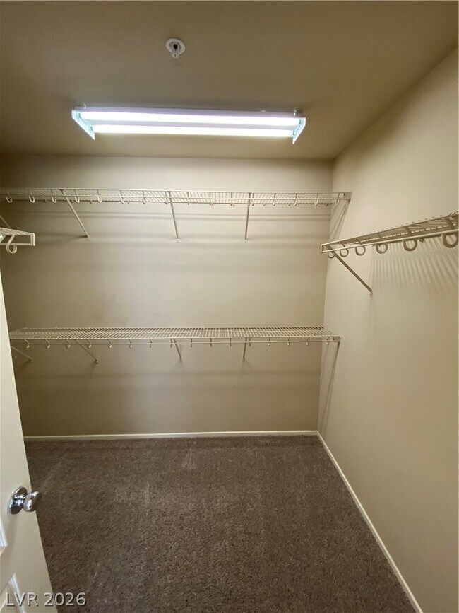 Building Photo - 160 Calm Morning Ave