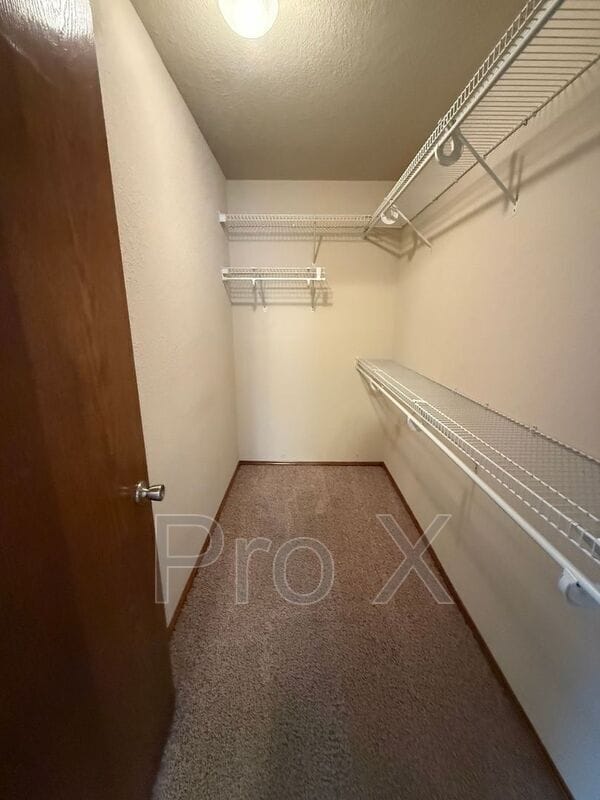 Building Photo - 707 Sean Ct