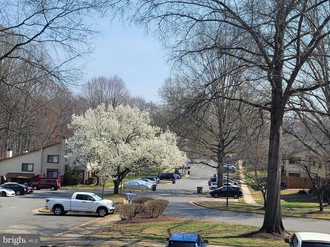 Building Photo - 5674 Oak Tanager Ct