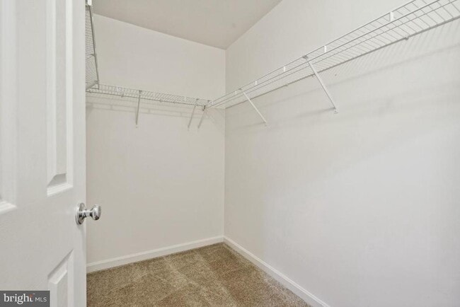 Building Photo - 4935 Chaste Tree Pl