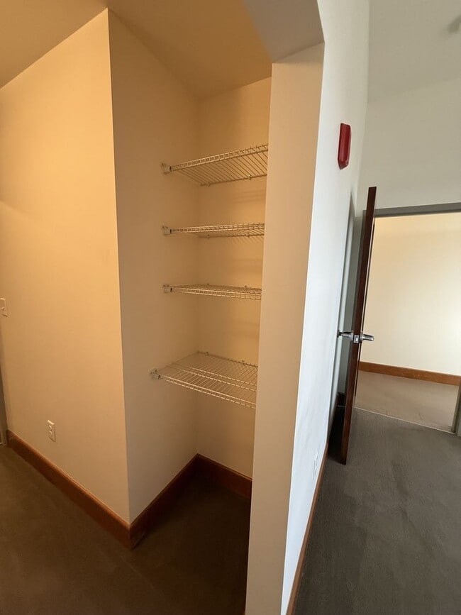 Building Photo - Luxury Apartment